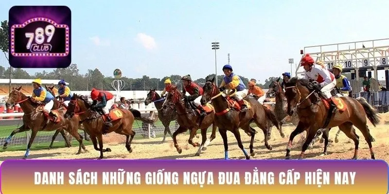 danh-sach-nhung-giong-ngua-dua-dang-cap-hien-nay