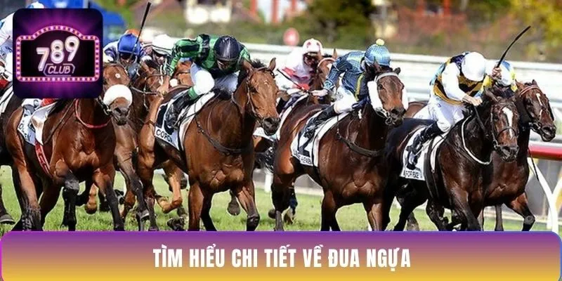 tim-hieu-chi-tiet-ve-dua-ngua